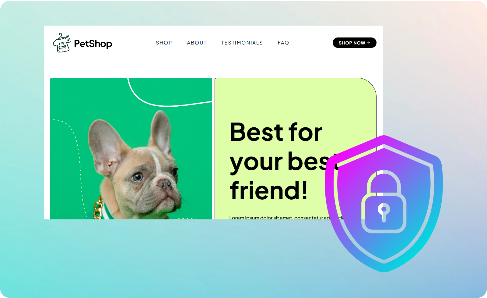 Website security features - SSL certificates, malware protection, privacy protection